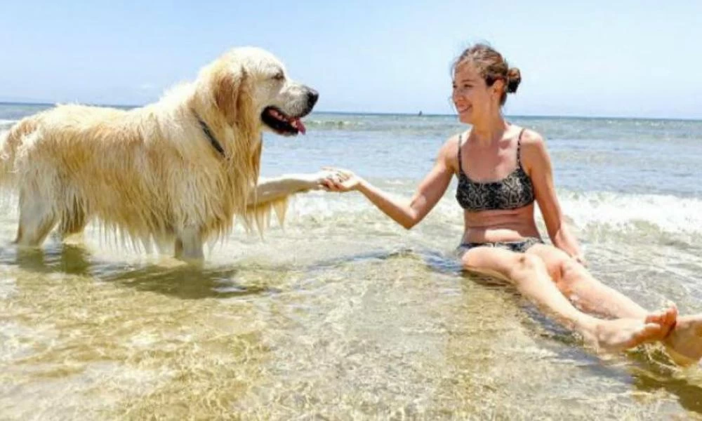 Δείτε ένα Λαμπραντόρ που πάει για πρώτη φορά στη θάλασσα